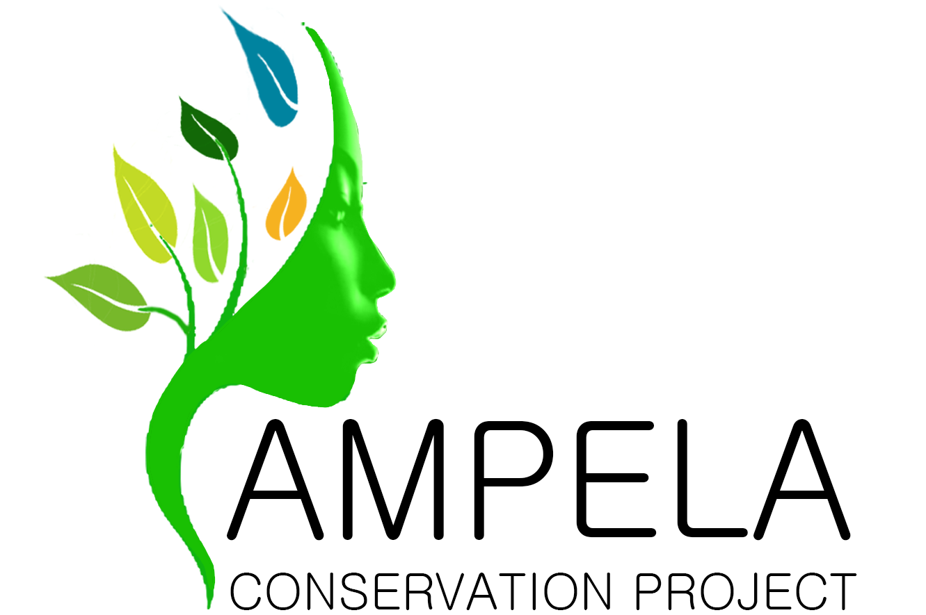 Ampela Conservation Project